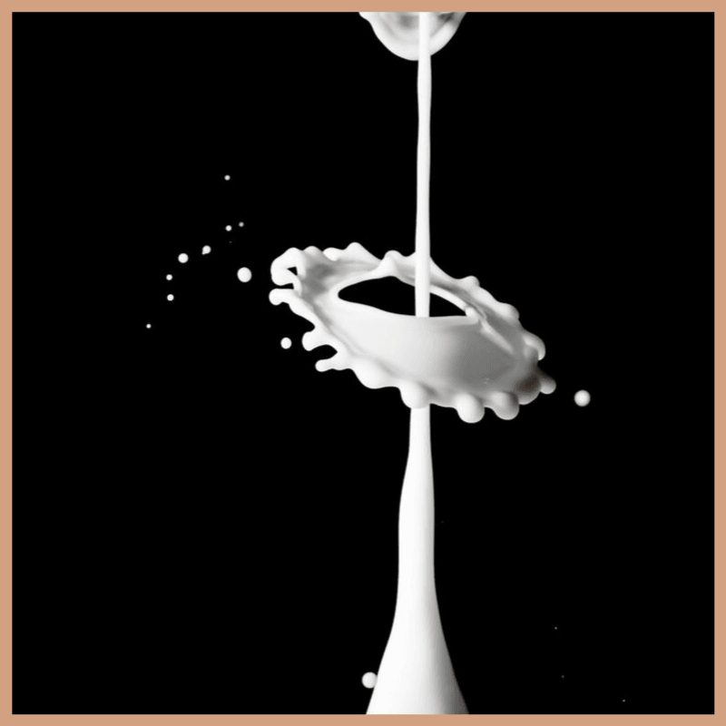Coconut & Milk Fragrance Oil