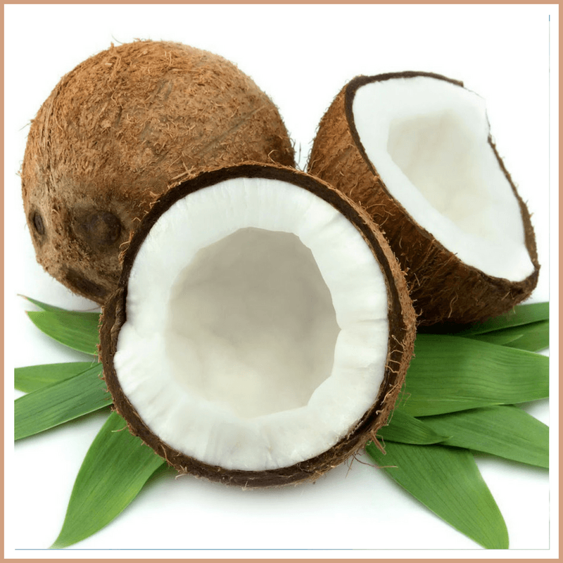 Coconut Fragrance Oil