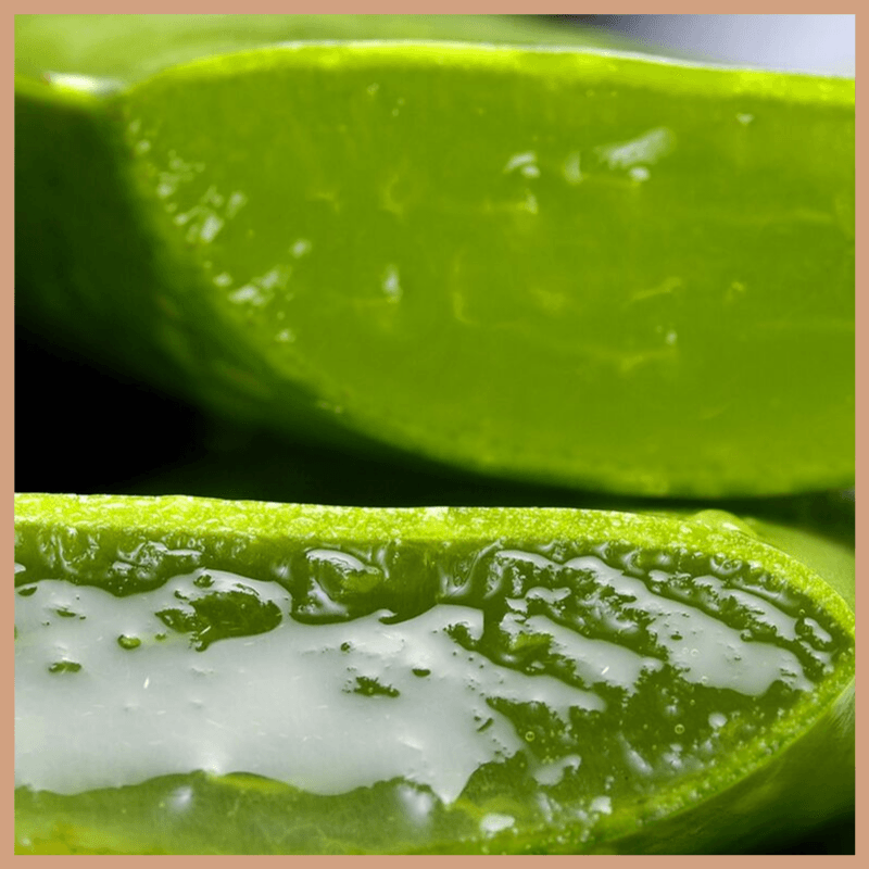 Cucumber & Aloe Vera Fragrance Oil