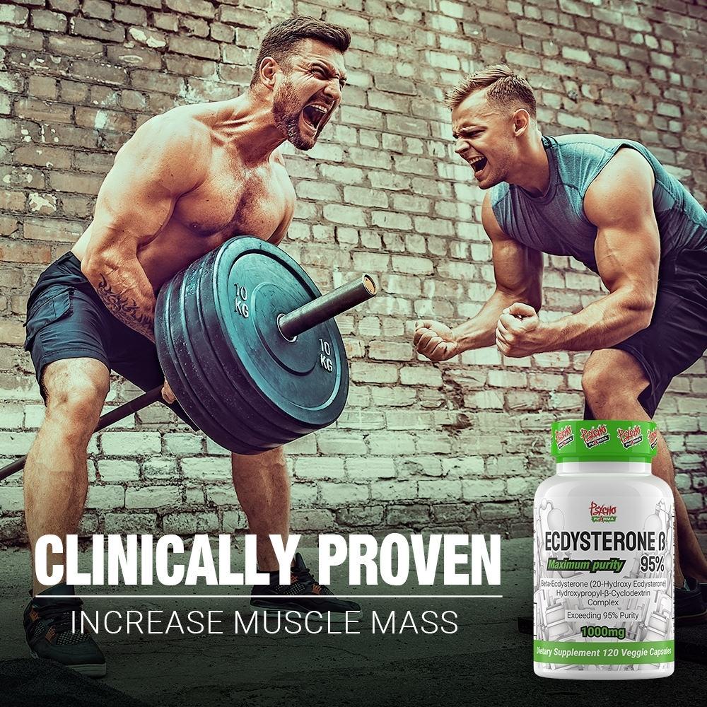 Complexed Ecdysterone 95% (1000mg)