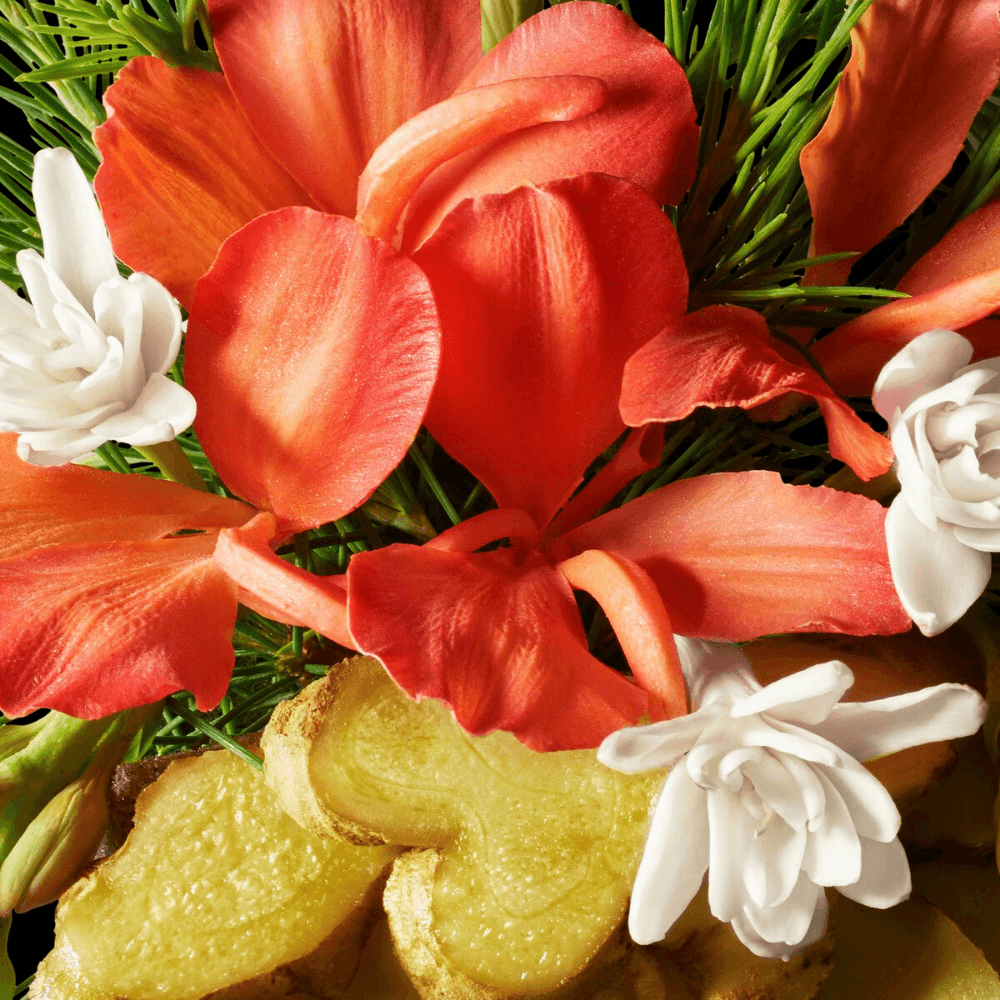 Divine Gingerlily Fragrance Oil