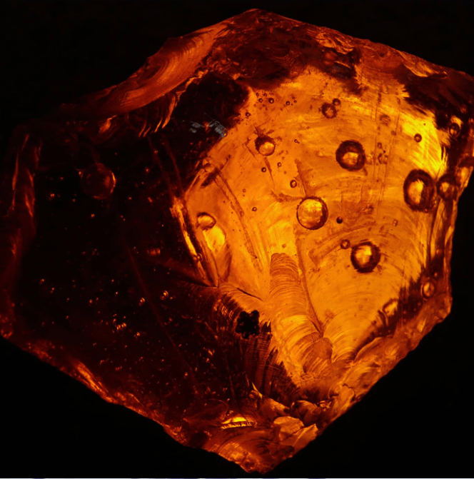 Egyptian Amber Fragrance Oil (Diffuser-Friendly)