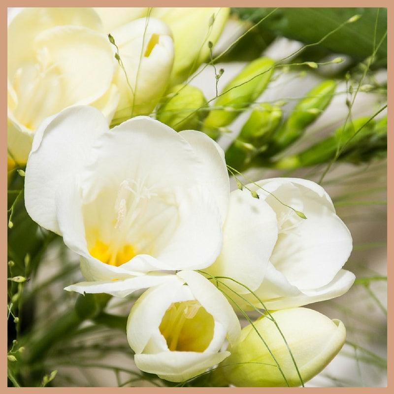 English Pear & Freesia Fragrance Oil