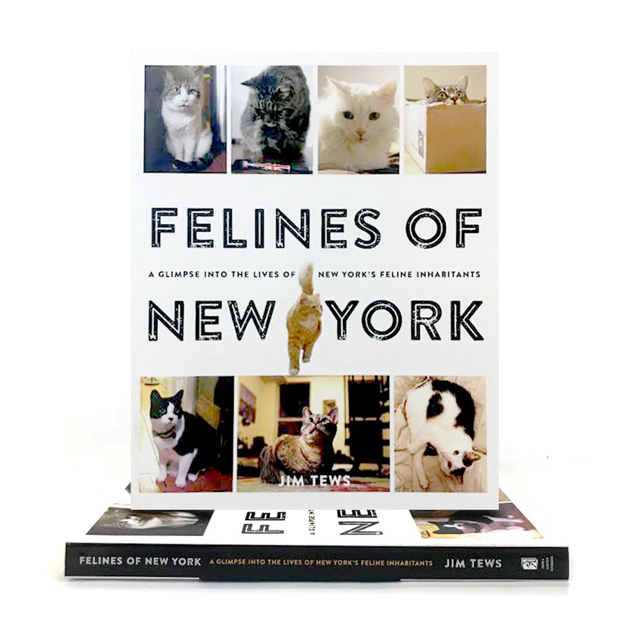 Felines of New York