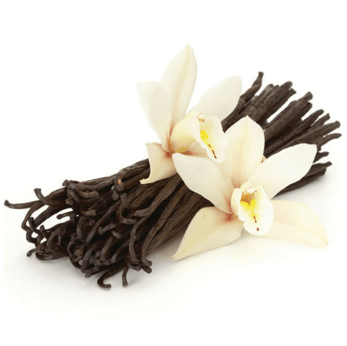 French Vanilla Fragrance Oil (Diffuser-Friendly)