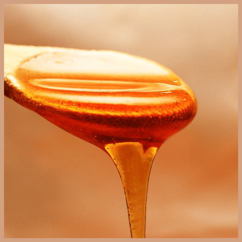 Golden Honey & Milk Fragrance Oil