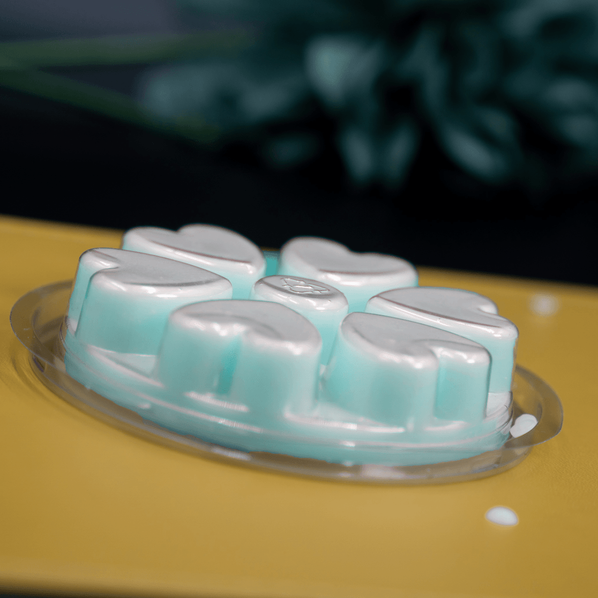 Heart Wax Melt Deli Pots