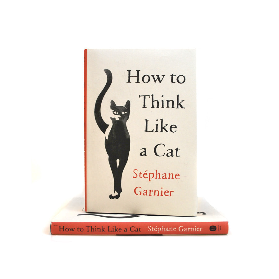 How to Think Like a Cat