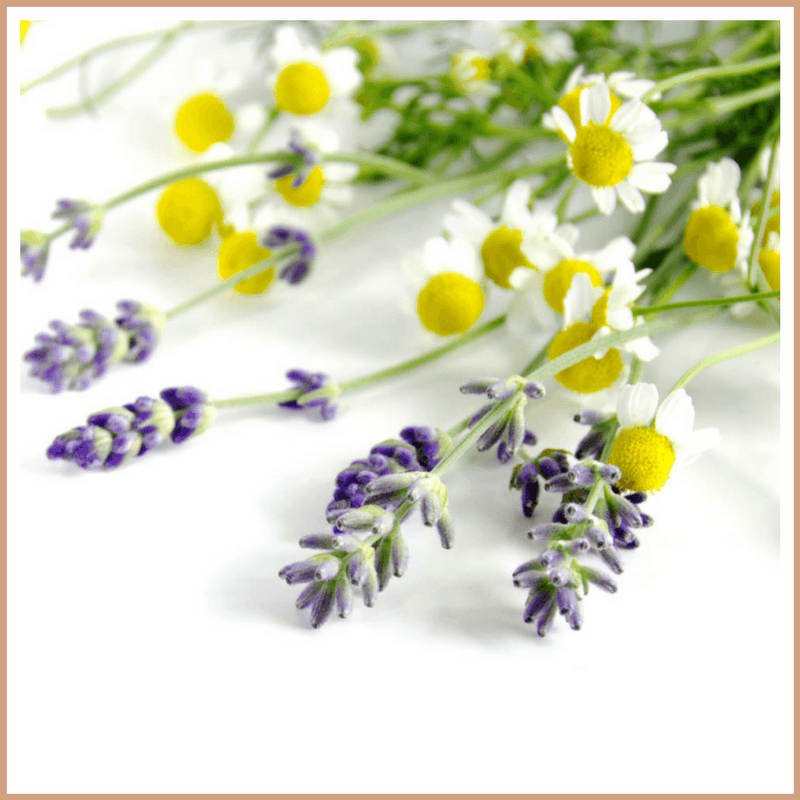 Lavender & Chamomile Fragrance Oil