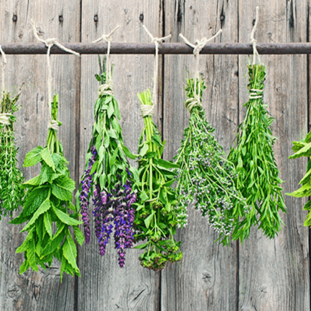 Lavender & Patchouli Fragrance Oil