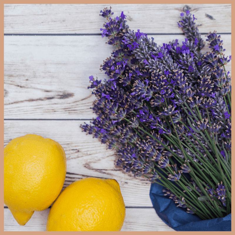 Lemon & Lavender Fragrance Oil