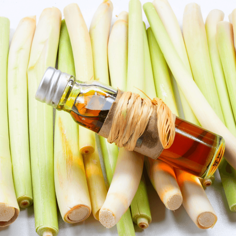 Lemongrass Essential Oil
