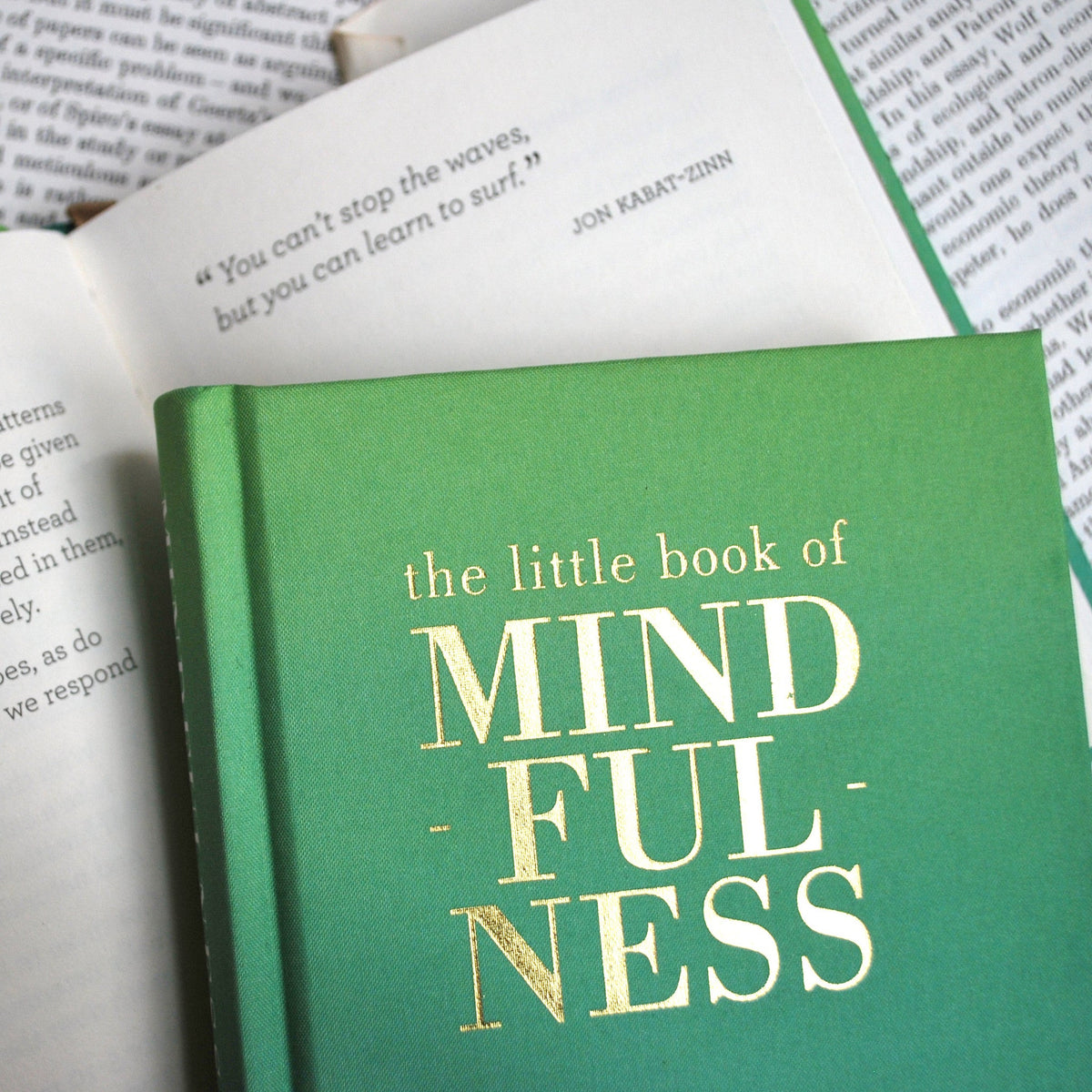 The Little Book of Mindfulness: Focus. Slow Down. De-stress.