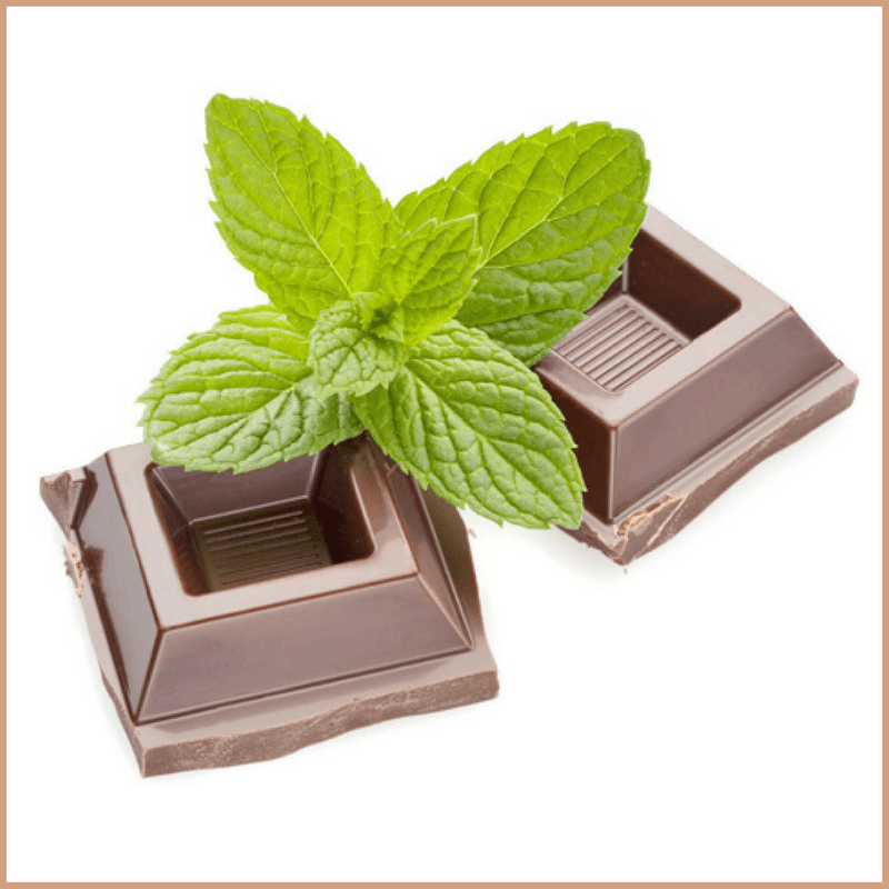 Mint Chocolate Fragrance Oil