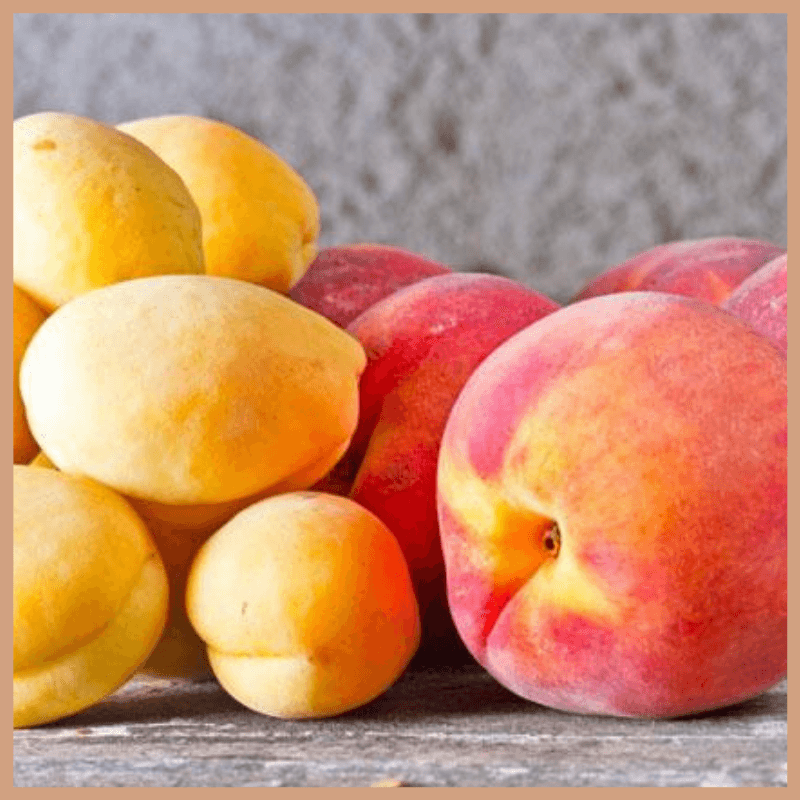 Nectarine & Lemon Blossom Fragrance Oil
