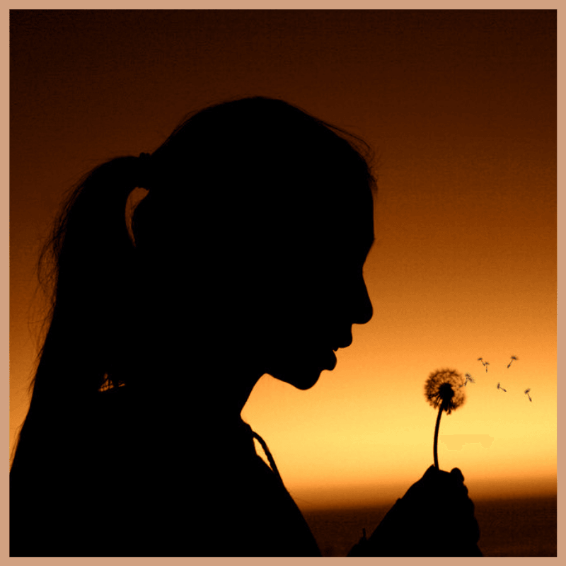 One Thousand Wishes Fragrance Oil