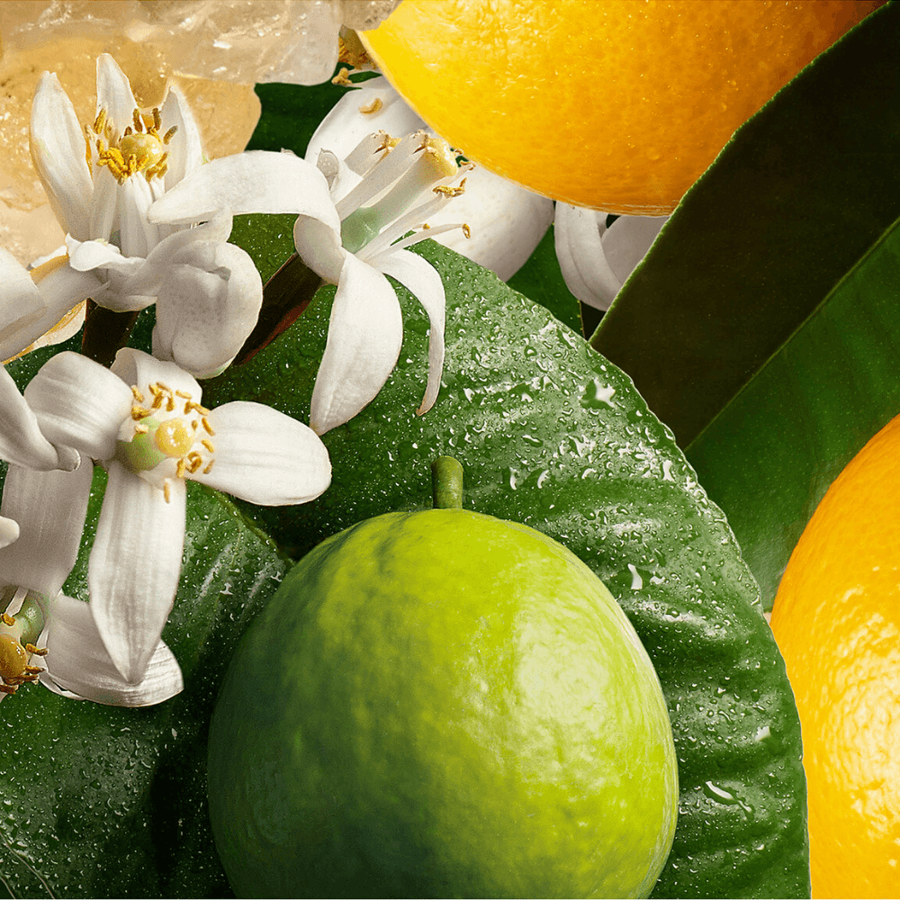 Orange & Bergamot Fragrance Oil