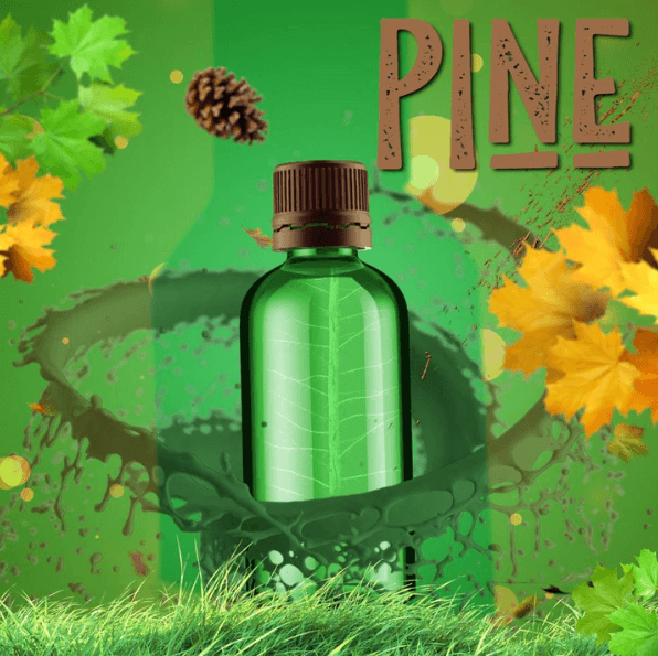 Pine Fragrance Oil (Diffuser-Friendly)