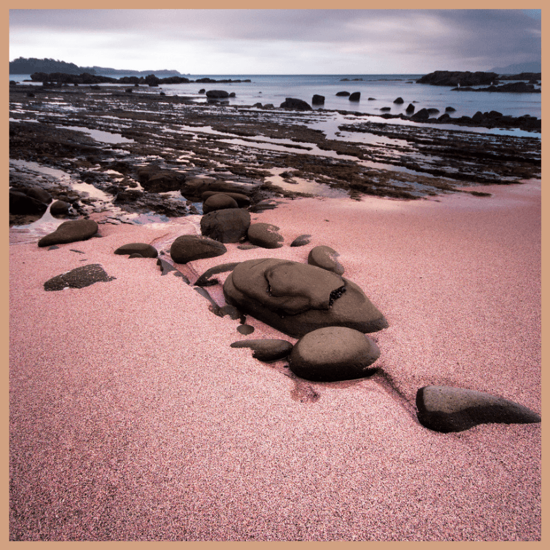 Pinky Sands Fragrance Oil