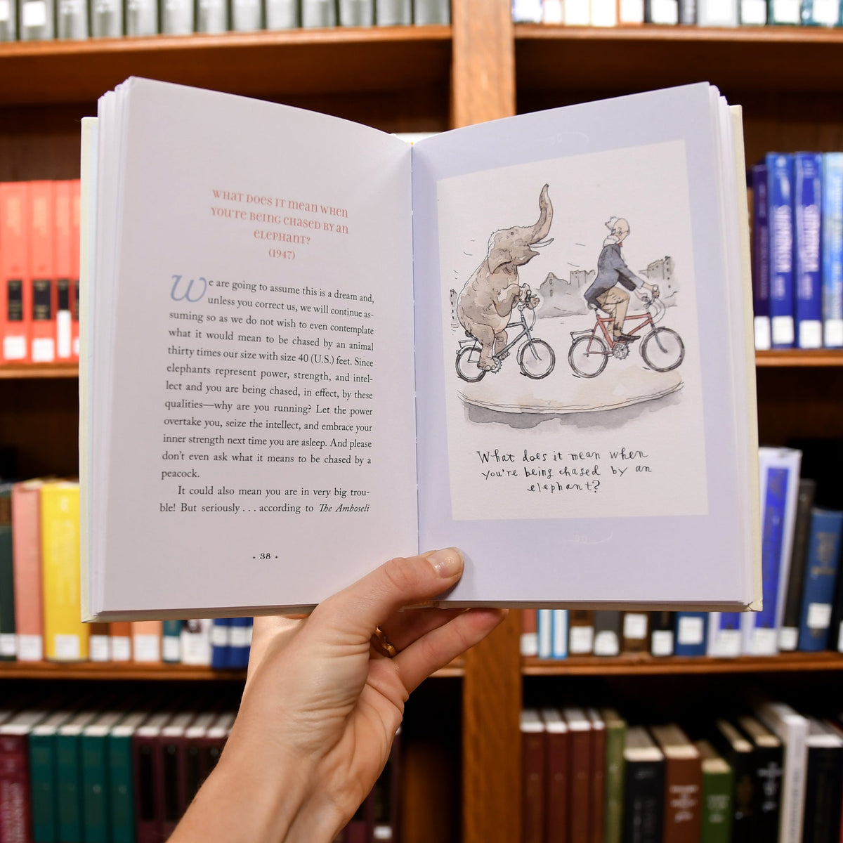 Peculiar Questions and Practical Answers: A Little Book of Whimsy and Wisdom from the Files of The New York Public Library