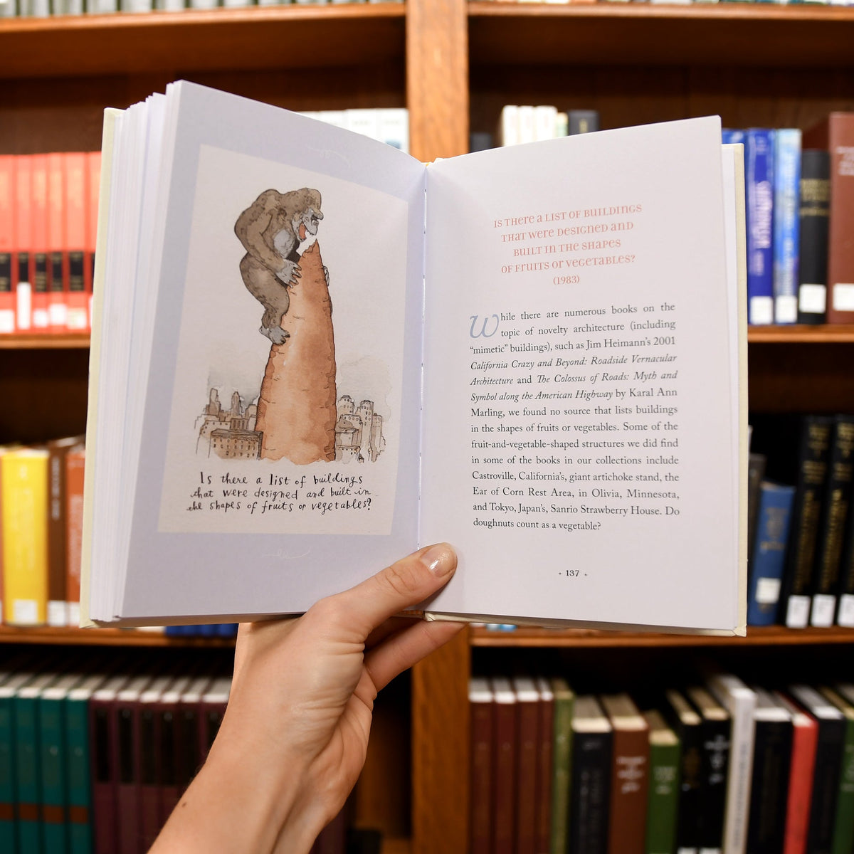 Peculiar Questions and Practical Answers: A Little Book of Whimsy and Wisdom from the Files of The New York Public Library