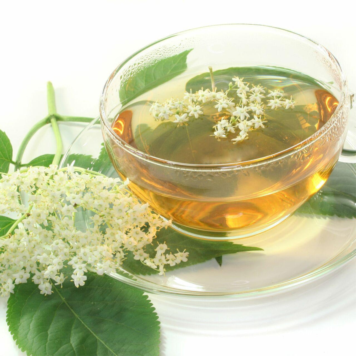 Rhubarb & Elderflower Fragrance Oil