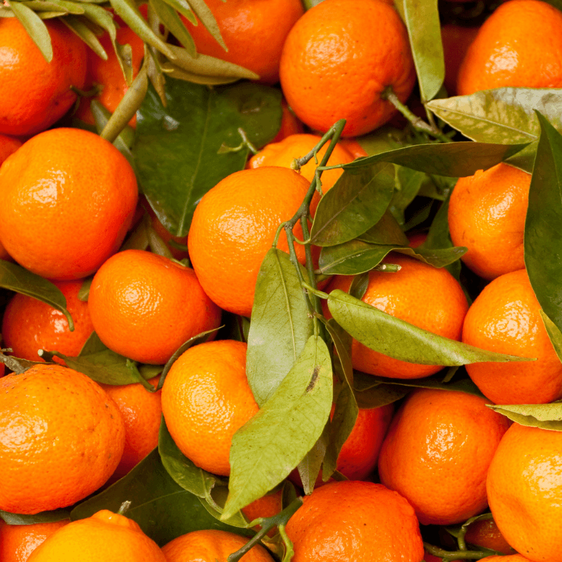 Satsuma Fragrance Oil