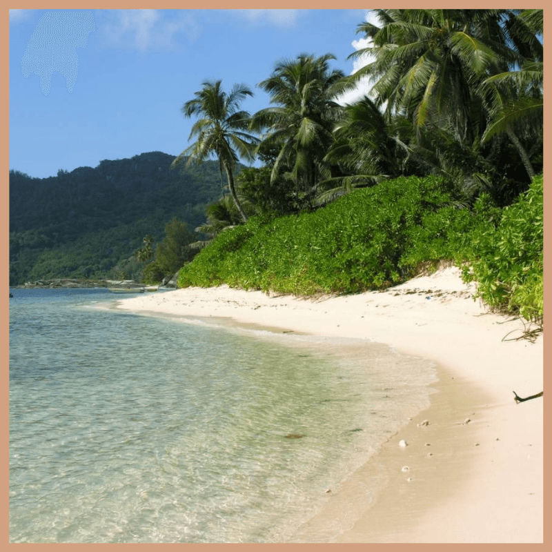 Seychelles Fragrance Oil