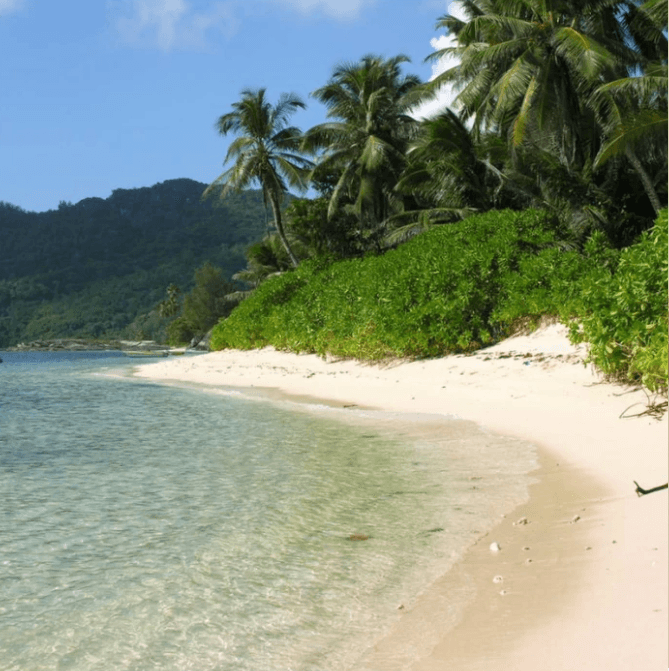 Seychelles Fragrance Oil (Diffuser-Friendly)