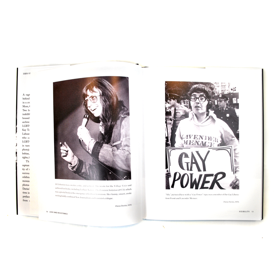 Love and Resistance: Out of the Closet Into the Stonewall Era