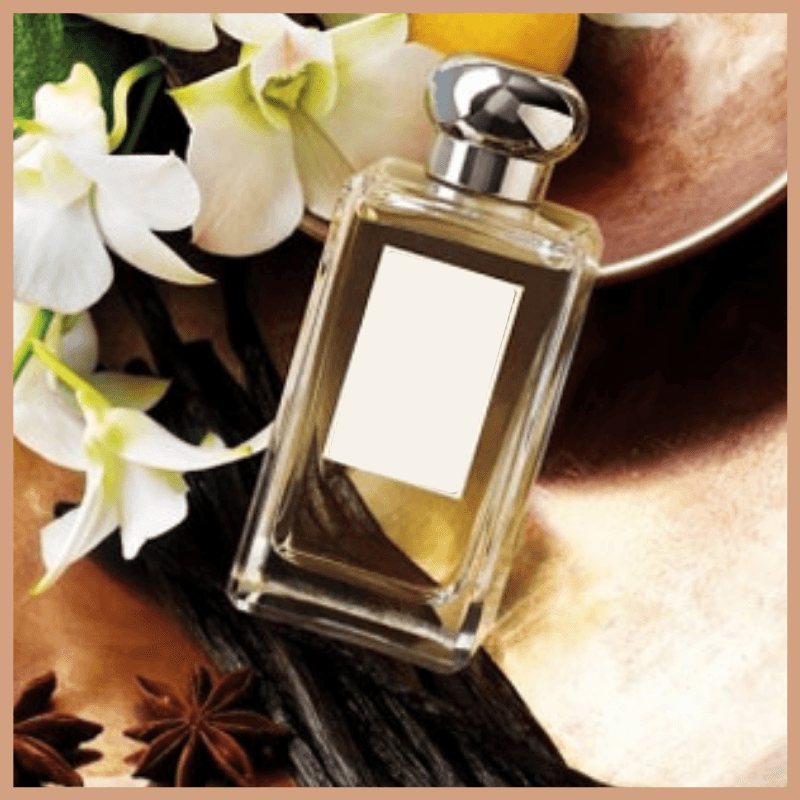 Vanilla & Anise Fragrance Oil