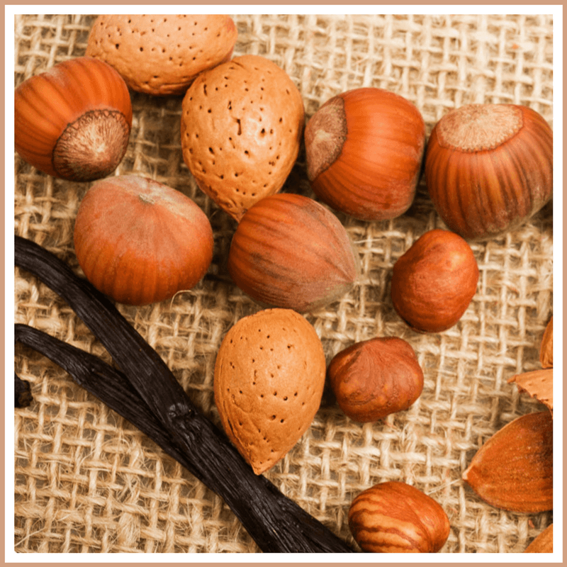Vanilla Hazelnut Fragrance Oil