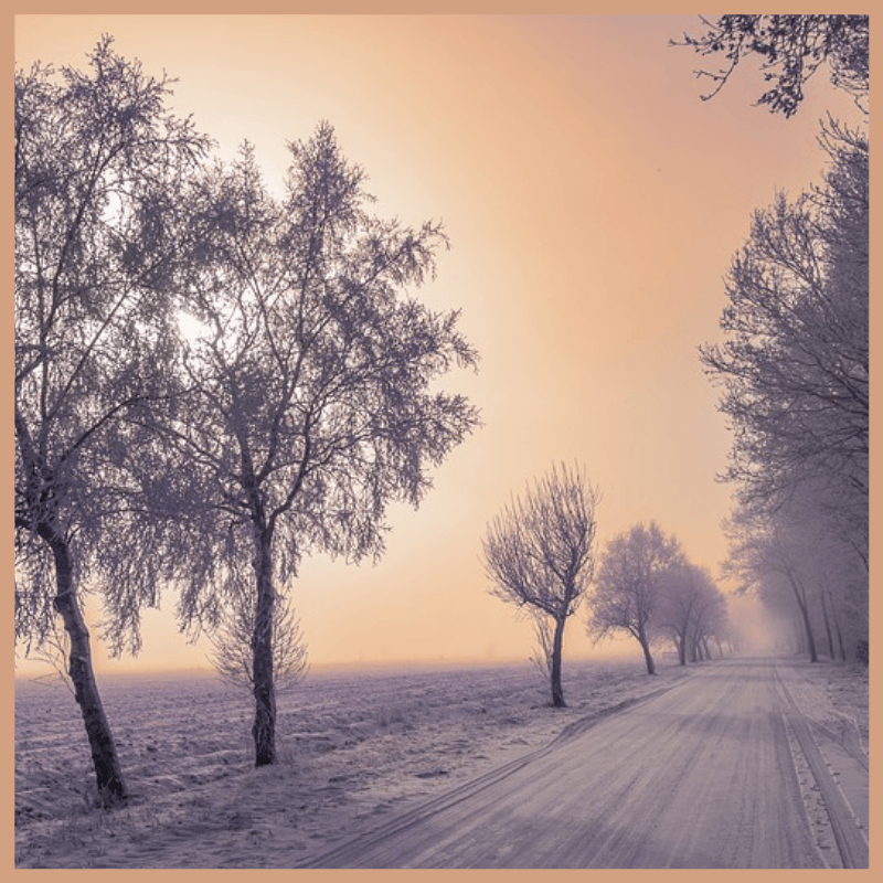 Winter Fragrance Oil
